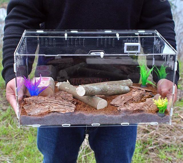 Binchi Outdoor Product Käfer Futterbox, Acryl, Transparent - Bild 1