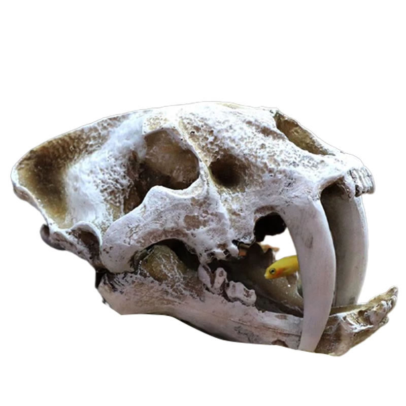 Strong-Toyers Dinosaurier Kopf Schädel Ornament aus Kunstharz in Weiß für dein Aquarium oder als Halloween Dekoration - Bild 4
