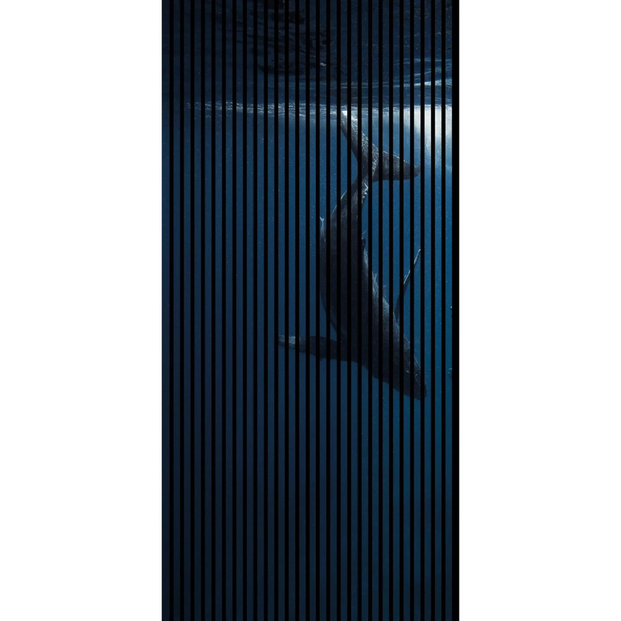 FN Acustico Akustikplatte Wal 1 in Bunt mit PET und MDF, B/H: 113,3 x 240 cm, Tiefe: 1,9 cm - Bild 2