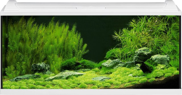 Eheim Aquapro LED Aquarium-Set, Weiß - Bild 1