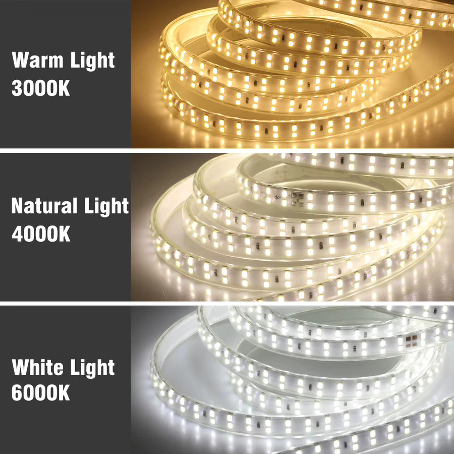 TRANYTON LED-Streifen wasserdicht mit EU-Stecker, zweireihig SMD2835, 180 LEDs/m, 220 V, CCT-Farbtemperatur wählbar - Bild 3