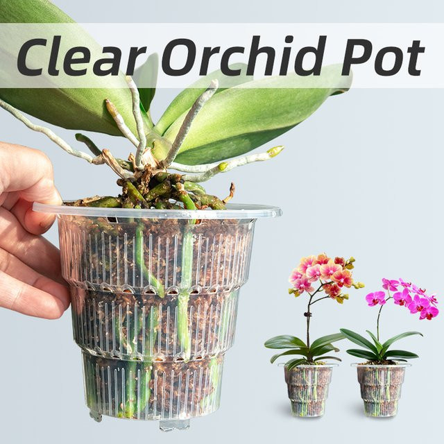 MESHPOT Orchideen Töpfe aus transparentem Kunststoff mit Untertassen zur Wurzelkontrolle - Bild 1