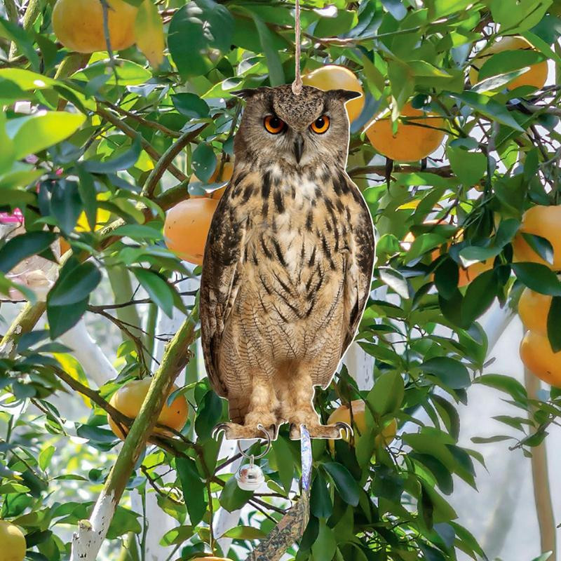 Realistische Eule als wetterfeste Vogelscheuche zur effektiven Vogelabwehr für deinen Garten und Außenbereich - Bild 2