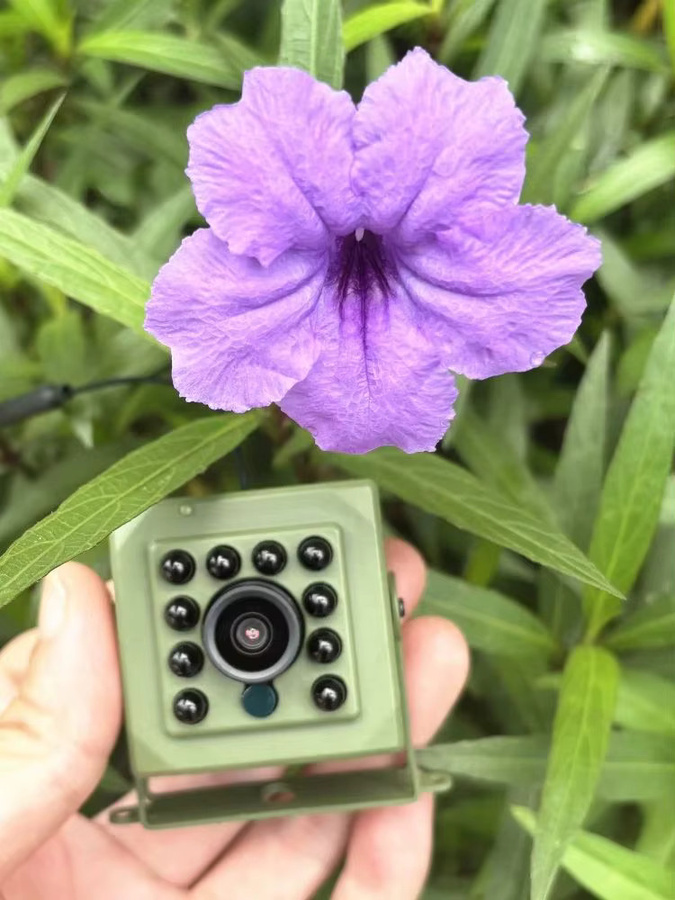 HQCAM Tuya Smart Mini WiFi IP Kamera mit 6MP 2K Auflösung, PoE, Nachtsicht und IRCUT, grün - Bild 7