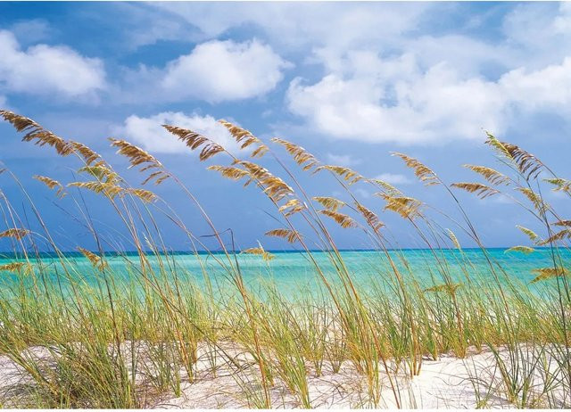 Komar Fototapete Ocean Breeze in Blau und Grün, B: 368 cm, H: 254 cm - Bild 1