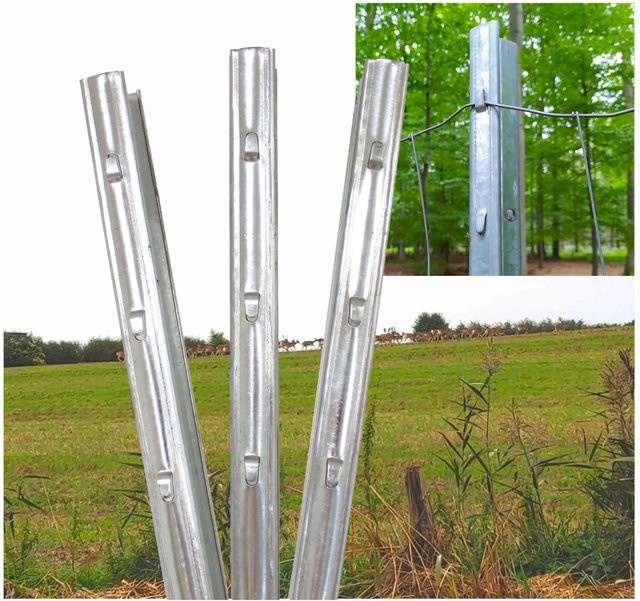 TrutzHolm Z Profil Zaunpfosten mit Haken, verzinkt, Farbe: silber, Höhe: 215 cm - Bild 1