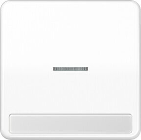 Jung Wippe Licht und Schrift für Taster CD 590 NAKO5 WW - Bild 1
