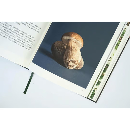Pilze aus Wald und Stadt. Rezepte und Porträts. von Martina Meier, Gerry Amstutz, Maurice Maggi, Marionna Schlatter, gebundene Ausgabe - Bild 2