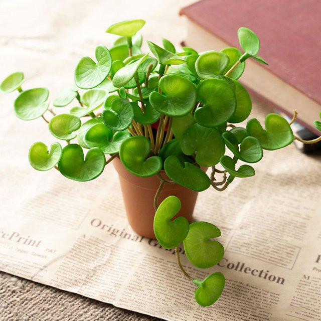 Künstliches Mini-Bouquet Kupfermünzgras von Kmitang in Grün, 15 cm Höhe - Bild 1