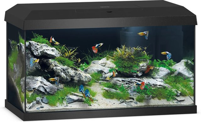 Juwel Aquarium Primo 60 LED 2.0 Schwarz - Bild 1