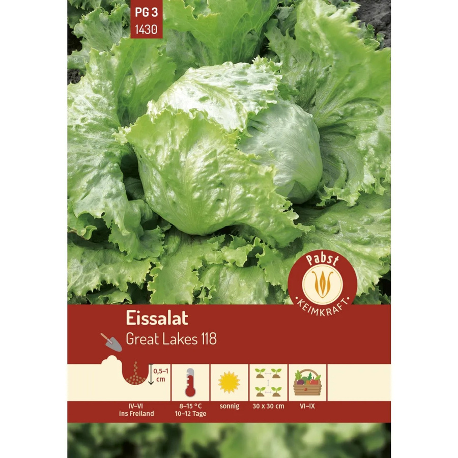 Pabst Keimkraft Eissalat Great Lakes 118 Saatgut für Sommer und Herbst - Bild 2