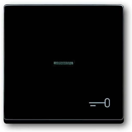 Busch-Jaeger Abdeckung Symbolwippe Schlüssel für Busch-axcent, Carat und Future Linear in Anthrazit und Schwarz-Grau 2CKA001751A2933 - Bild 1