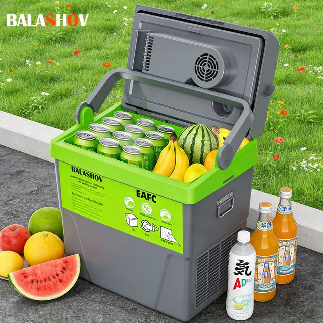 BALASHOV Mini-Kühlschrank 20L Tragbarer Dual-Use-Kühler für Zuhause, Make-up, Reisen und Auto mit 220V/12V Anschluss - Bild 1