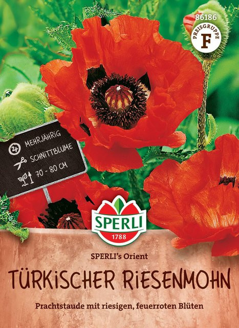 SPERLI Türkischer Riesenmohn-Samen Orient, rote Blütenfarbe - Bild 1