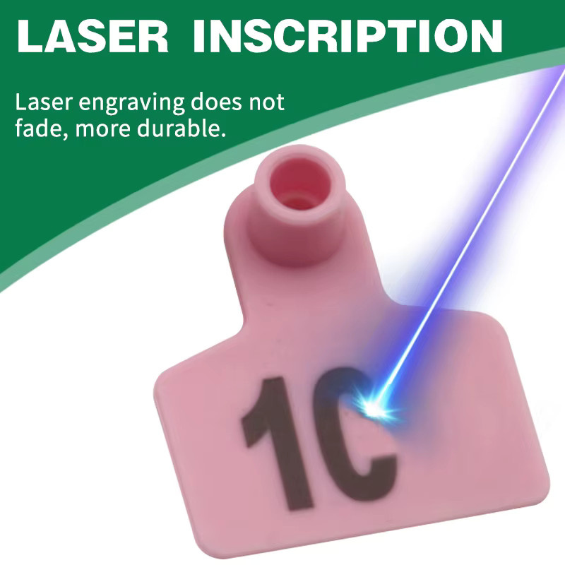 100 Stück Ohrmarken aus Kunststoff für Schweine, Schafe und Ziegen mit Lasermarkierung in 8 Farben, Identifikationskarten für Nutztiere, Nummerierung 001–100 - Bild 3