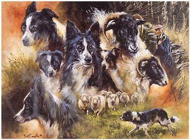 FIYO DIY Diamant Malerei Border Collie Hund 5D Mosaik Set, Mehrfarbig, B x H: 20 x 30 cm - Bild 1