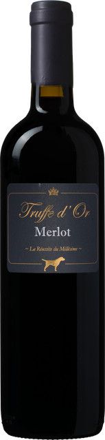 Truffe d'Or Merlot Rotwein, Frankreich, fruchtig, 13,0 %, 0,75 l - Bild 1