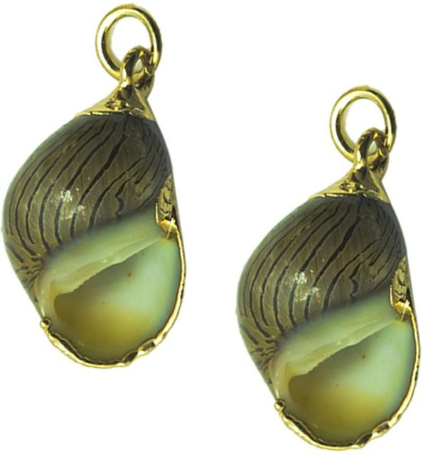 Ohrring-Anhänger Wassertropfen Conch, bunt, Gold, Unisex - Bild 1