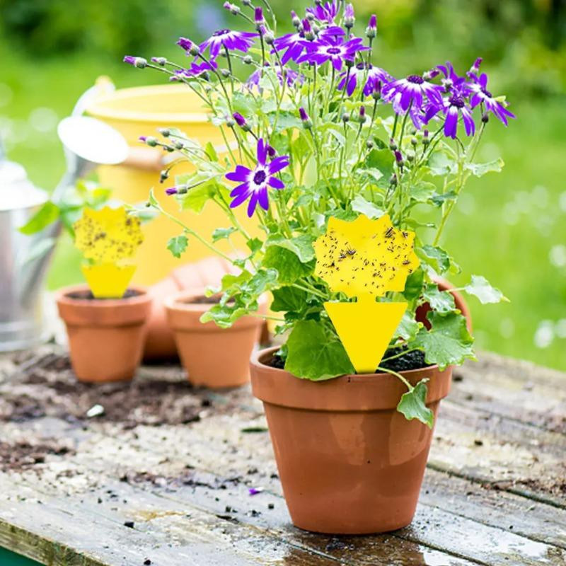 Gelbe klebrige Insektenfallen von LIUXING zur Schädlingsbekämpfung für Gartenpflanzen, Zimmerpflanzen und Topfpflanzen, 10 Stück - Bild 3