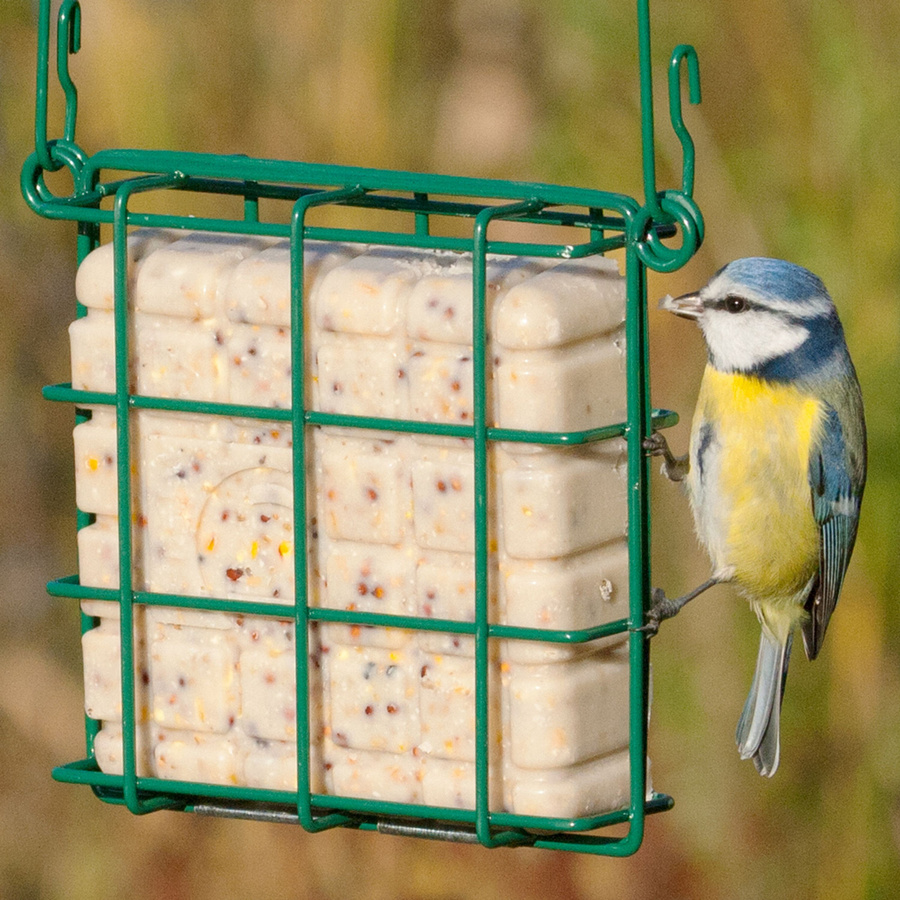CJ Wildlife Energieblock-Halter für Vogelfutter in Grün aus Metall - Bild 2