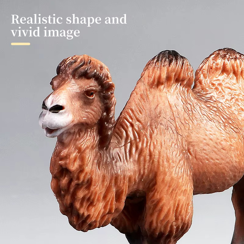 Wildlife World Kamel Tier Modell, Actionfiguren, Tiere - Bild 3