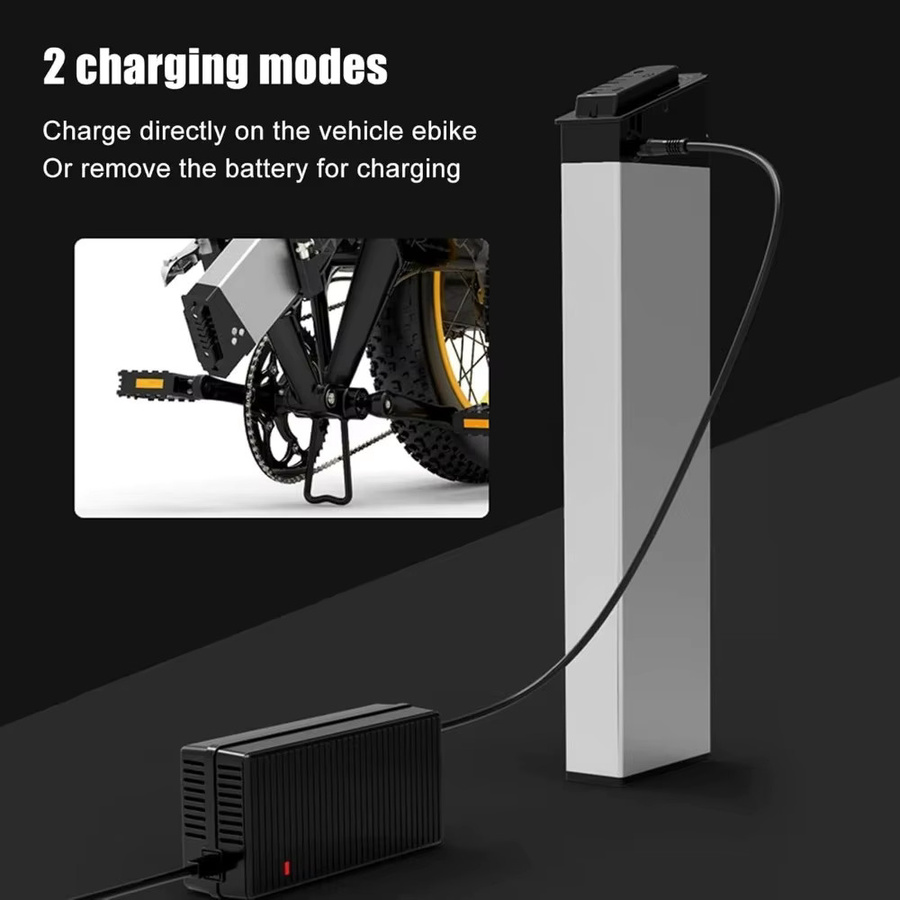 Samebike DCH-006 48V Faltbarer E-Bike Akku für Samebike LO26 20LVXD30 Fiido M1 Pro LAFLY X3 X5 Elektro-XP - Bild 5