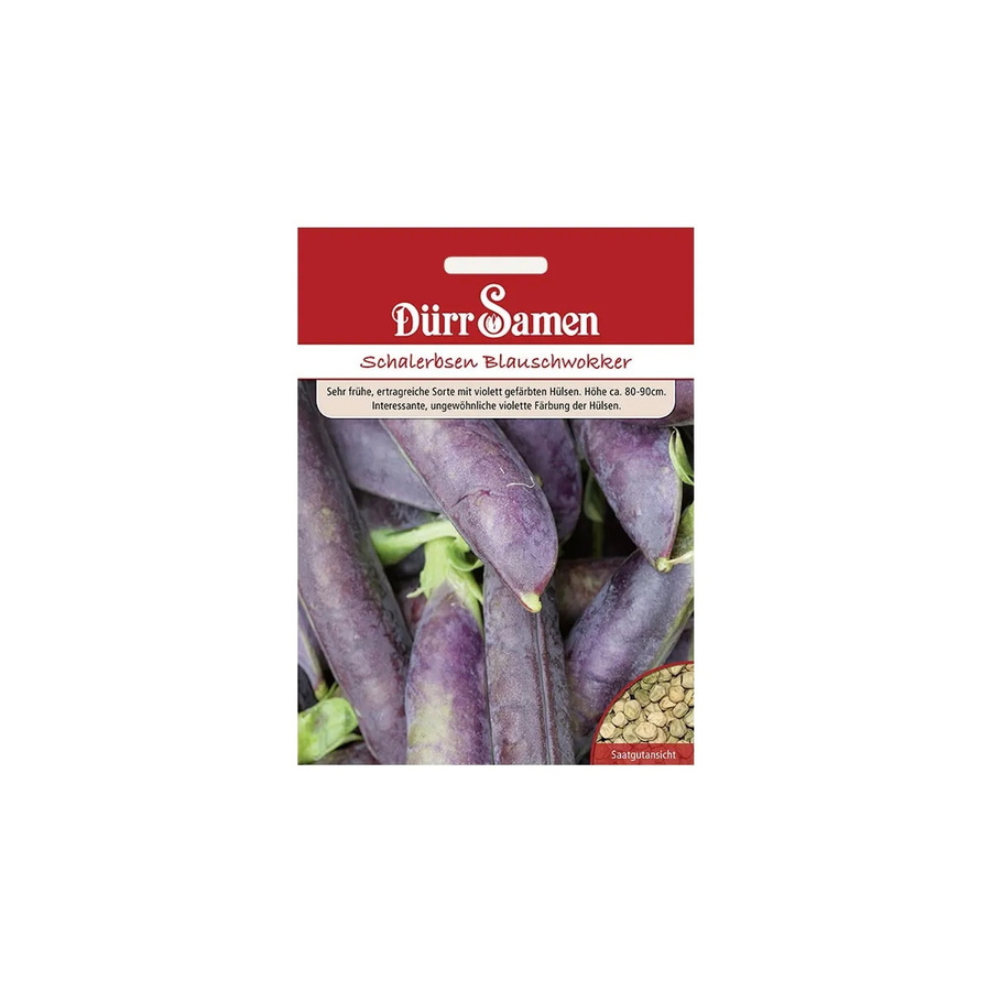 Dürr Blauschwokker Schalerbsen Saatgut Gemüse 155 g - Bild 2