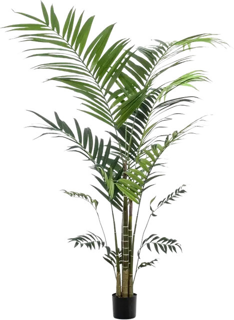 Künstliche Kentia Palme Nathalie von Aplanta, Höhe: 200 cm - Bild 1