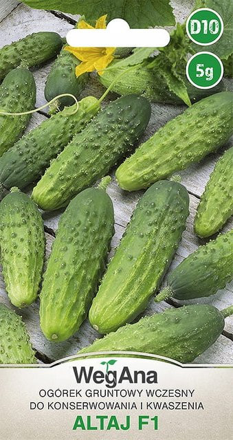 VegAna Gurke Altai Hybrid F1 Gurkenkerne 5 g - Bild 1