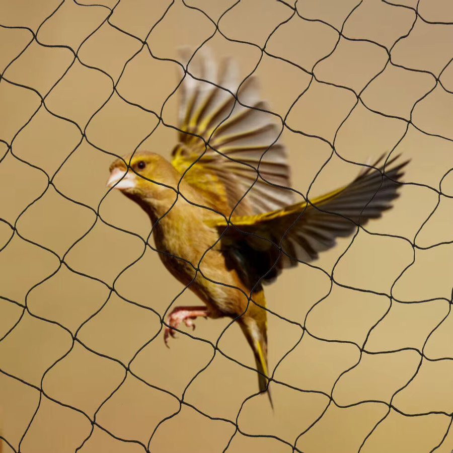 Bymaocar Anti-Vogel-Netz Schwarz, Schädlingsschutznetz für Pflanzen, Obst und Bäume, B: 30 m, H: 15 m - Bild 2