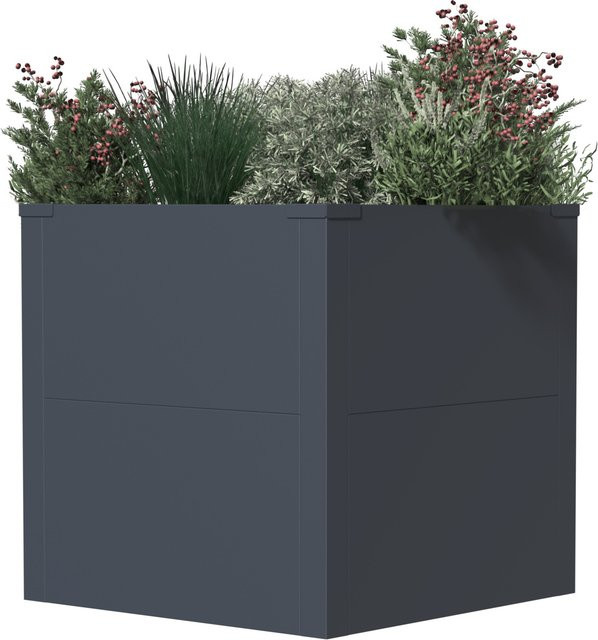 Westmann Metall Pflanzkübel Talus S Anthrazit B/H/L: 50 x 50 x 50 cm - Bild 1