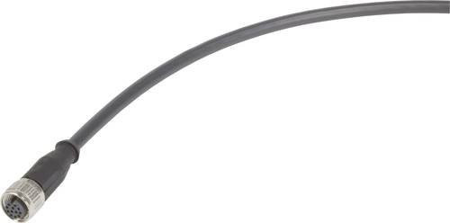 HARTING Sensor-Aktor-Steckverbinder konfektioniert Schwarz 10m - Bild 1