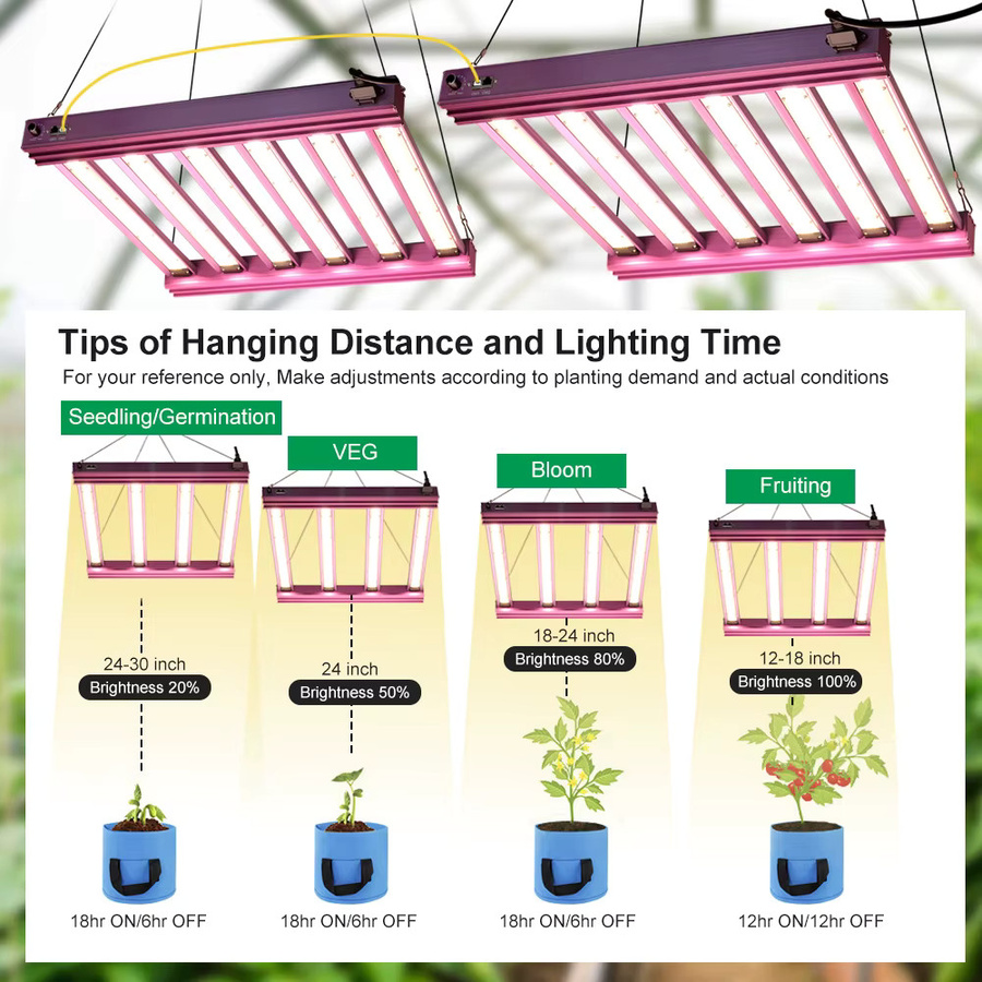 GRAXIDEA LED-Pflanzenlampe Vollspektrum in Schwarz, dimmbar mit Daisy-Chain-Funktion und integriertem Netzteil für Indoor-Gärtnerei - Bild 5