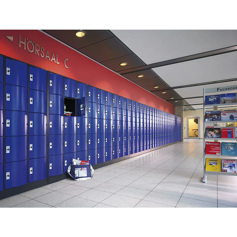C+P Schließfachschrank Resisto mit 15 Fächern, Korpus Lichtgrau und Front Enzianblau, H x B x T: 195 x 115 x 54 cm - Bild 2