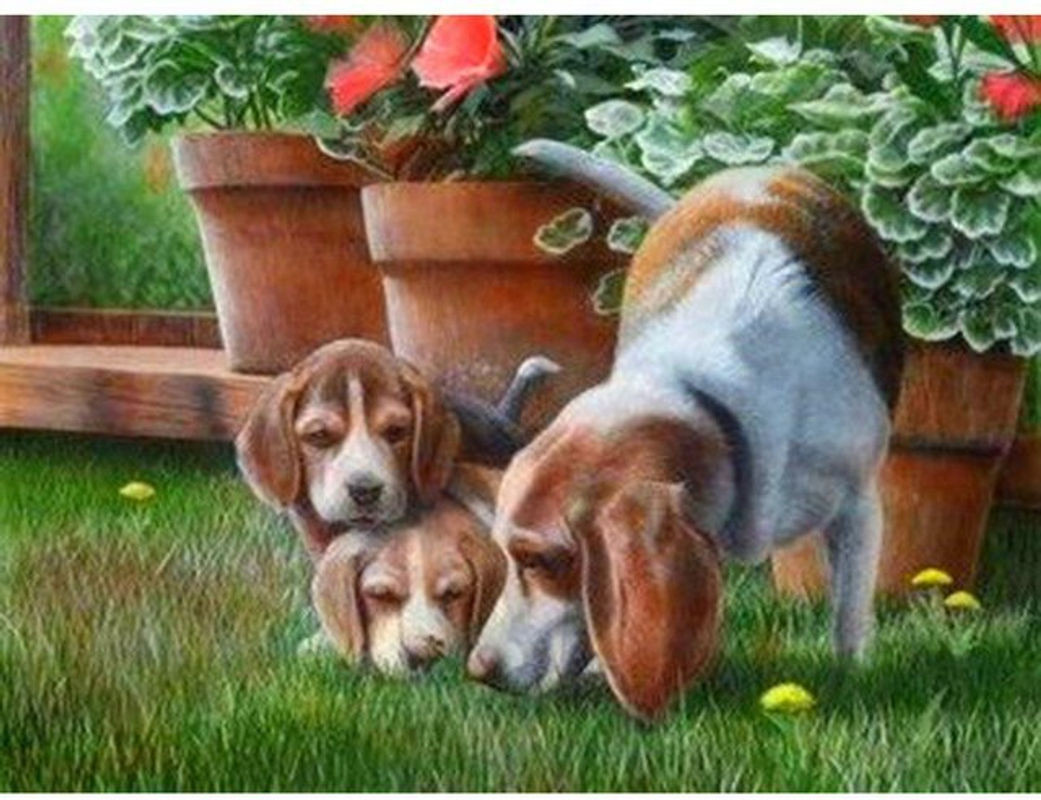 FIYO Diamond Painting Set Landschaft mit Hund und Weihnachtsbaum, DIY Kreuzstich mit Strass Steinen, mehrfarbig, B/H: 30 x 20 cm - Bild 1