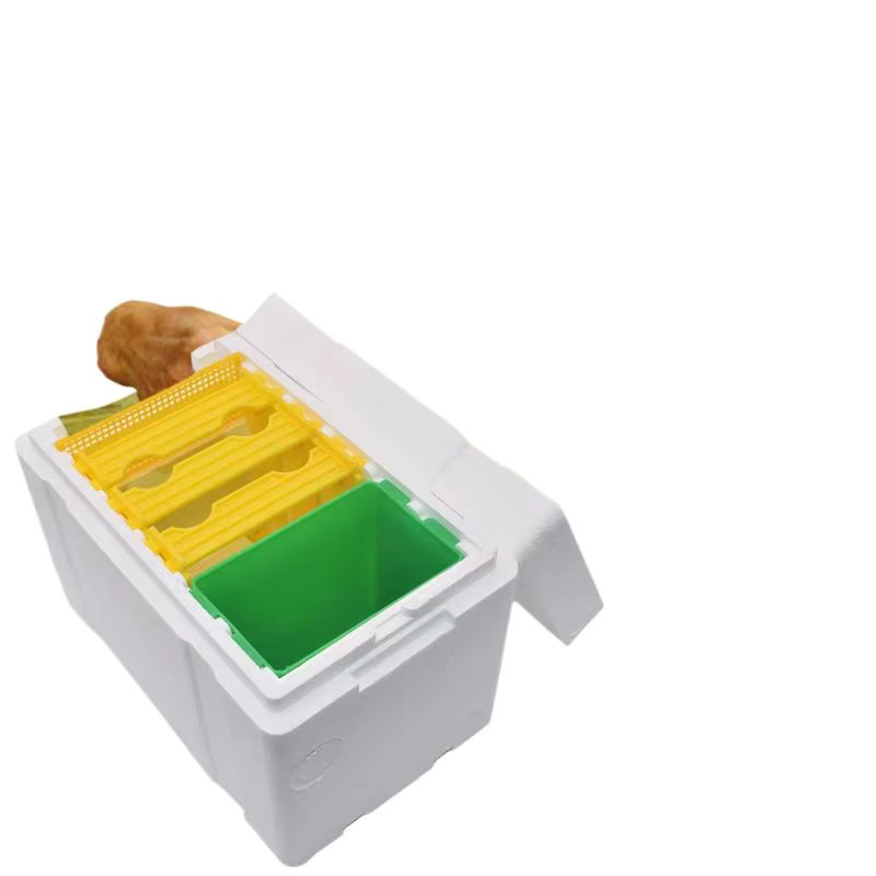 eelhoe Bienenköniginnen-Zuchtbox aus Schaumstoff in Weiß für die Bienenhaltung und Bestäubung im Garten - Bild 3