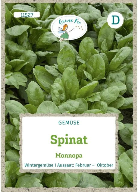 Monnopa Grüne Fee Spinat Saatgut für Frühjahrs- und Herbstanbau - Bild 1