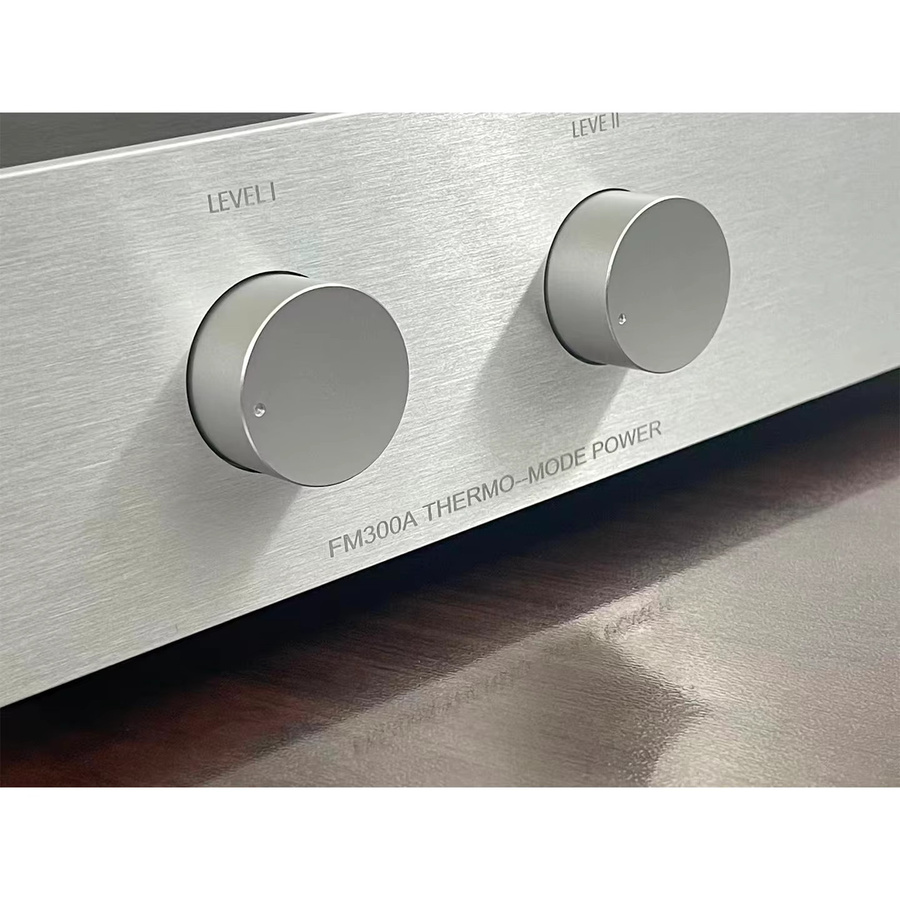 CHUBAN Hochleistungs-Leistungsverstärker FM300A mit 80W*2 in Silber für Regal- und Standlautsprecher - Bild 3