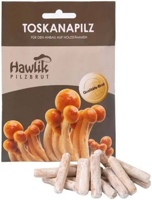 Hawlik Pilzbrut Myzel Dübelbrut Toskanapilze für die Pilzzucht im Garten auf Holzstämmen - Bild 1