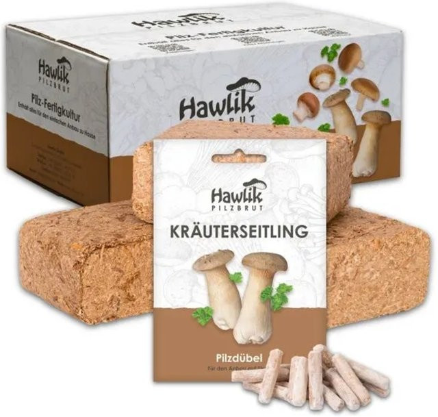 Hawlik Pilzbrut Kräuterseitling Pilzbeet-Set zur einfachen Pilzzucht im Garten inklusive Substrat, Myzel und Anbau-Anleitung - Bild 1