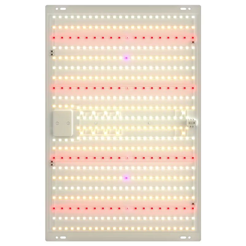 CanLing 350W Vollspektrum LED-Wachstumslampe Quantum-Board für Hydrokultur und die Kultivierung von Gemüse und Obst - Bild 7