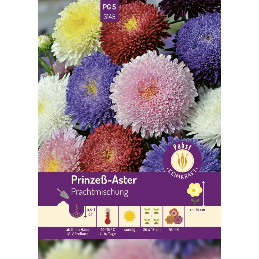 Pabst Keimkraft Prinzeß Aster Prachtmischung Saatgut für Beete und Rabatten - Bild 2