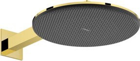 Hansgrohe Raindance Alive S 2jet Kopfbrause in Gold Optik, rund - Bild 1
