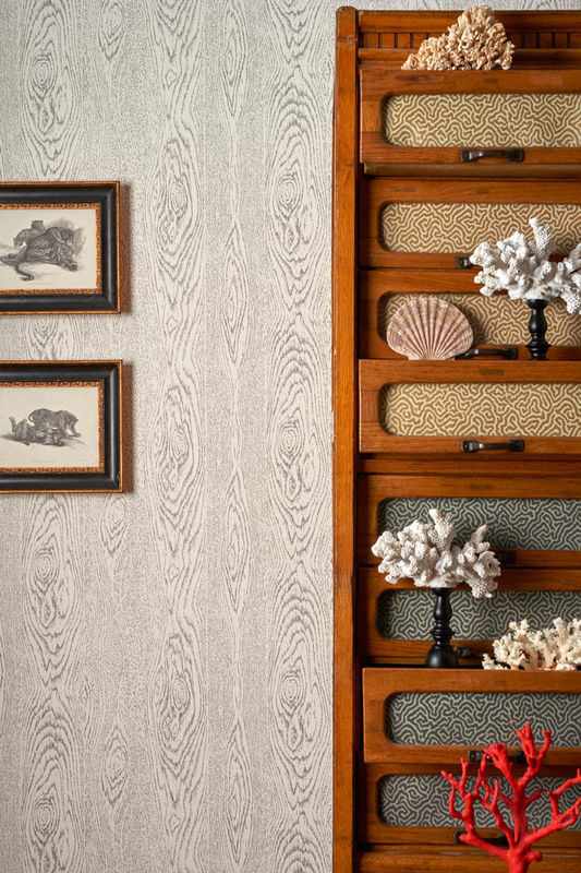 Cole & Son Tapete Wood Grain in Schwarz Weiß Grau mit geometrischem Abstract-Muster aus Vlies - Bild 2
