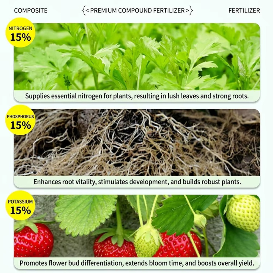 SERVAVEXA Allzweck NPK-Dünger 15-15-15 Granulat für Gemüse, Zimmerpflanzen und Sträucher - Bild 2