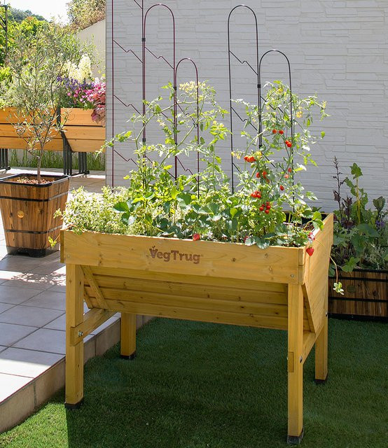 VegTrug Hochbeet Wallhugger aus Zedernholz in Natur, B: 103 cm, T: 46 cm, H: 80 cm - Bild 5