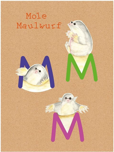 Komar Wandbild ABC Animal Poster für Kinder, Mehrfarbig, Breite: 40 cm, Höhe: 50 cm - Bild 1