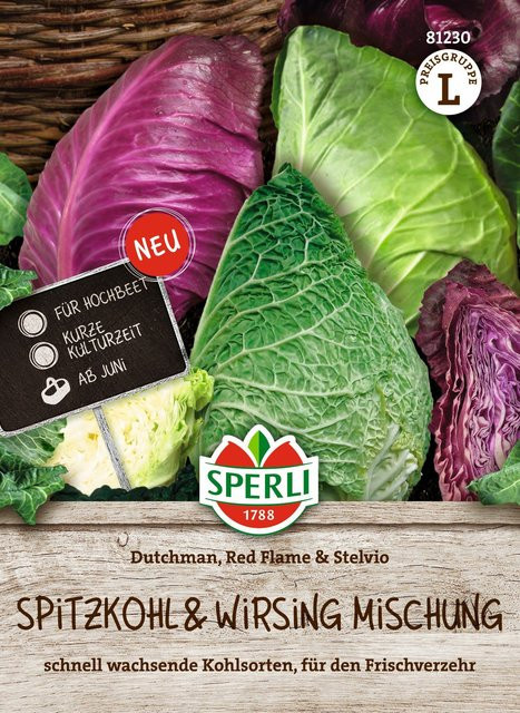 SPERLI Spitzkohl und Wirsing-Samen - Bild 1