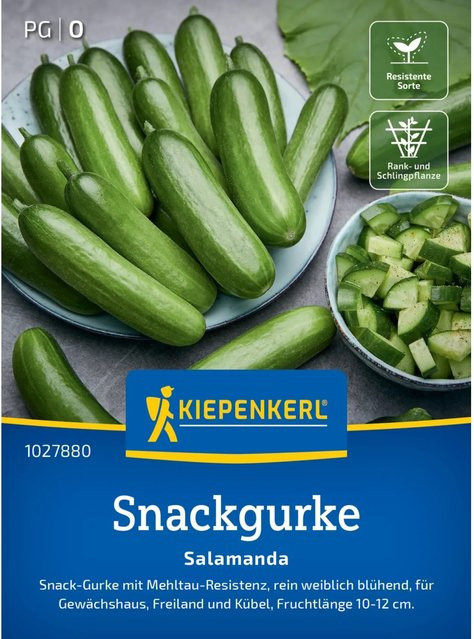 Kiepenkerl Salatgurke Salamanda F1 Gemüsesaat für Freiland und Gewächshaus - Bild 1