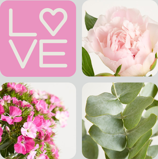 Blume2000 Soft Pfingstrosen Mix Pink mit Nelken und Eukalyptus - Bild 1